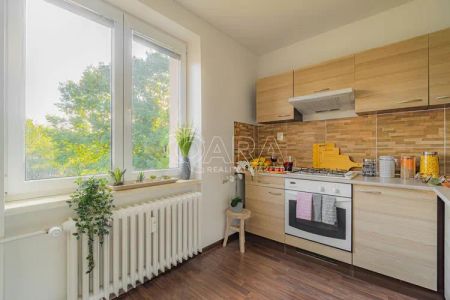 Pronájem bytové jednotky 2+1(55 m - Photo 3