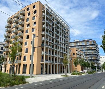 moderne, leistbare 3-Zimmer Neubauwohnung mit Balkon! - Photo 5