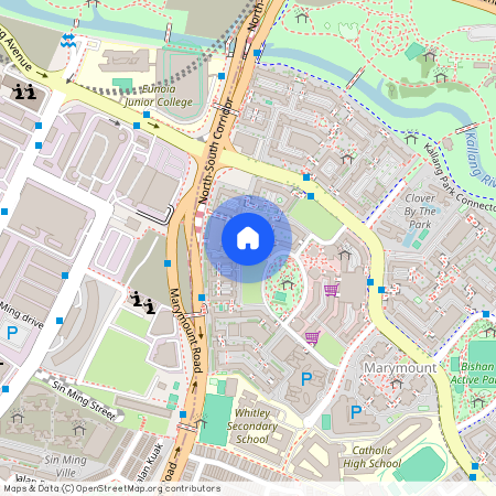 263 Bishan Street 22 (570263), Singapore