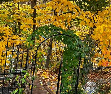 For Lease - 3441 Sanderling Crescent Unit# Bsmt #1, Mississauga, On... - Photo 4