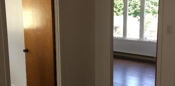 Cuisine 100% renovée, 4 1/2 disponible dès maintenant ! - Photo 2