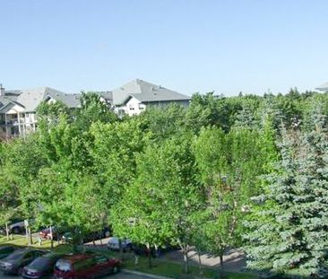 1 Bedroom Condo For Rent In Dover - Photo 3