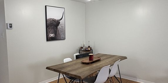 4 1/2 Gatineau - Grand Demi Sous-sol - Photo 2