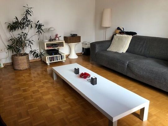 3-ROOM APARTMENT IN ZURICH – DISTRICT 3 WIEDIKON, FURNISHED, TEMPORARY - Foto 1