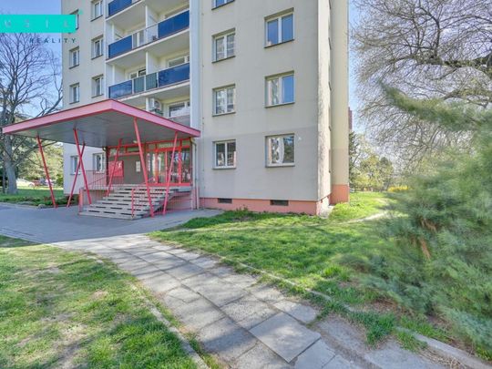 Pronájem bytu 3+1 60 m2 - Fotografie 1