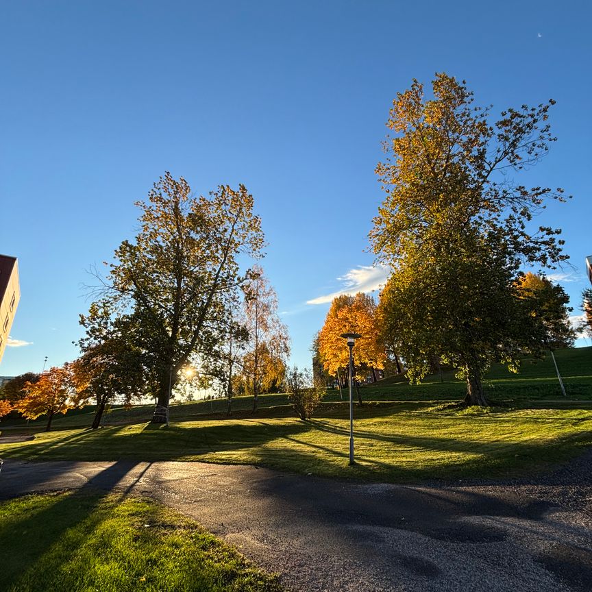 Axvägen, Sundsvall - Foto 1