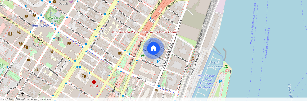 691 Rue St-Christophe H2L5E4, Montréal
