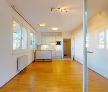 Garten-Terrassen-Wohnung in Ruhelage - Photo 2