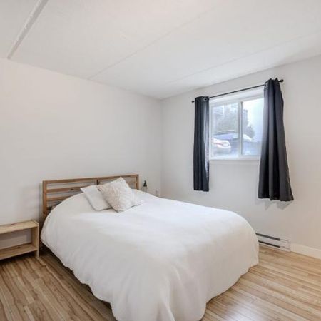 Appartement 3 ½ à louer Limoilou janvier 2026 - Photo 4