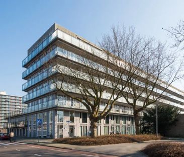 Wonderklauwpad 38 - Photo 2