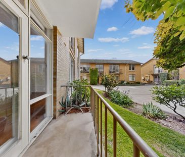 19/31 Barnsbury Road, Deepdene VIC 3103 - Apartment For Rent | Domain - Photo 2