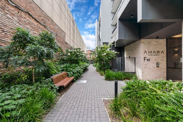 436G/39 Ralph Street, Alexandria NSW 2015 - Apartment For Rent | Domain - Photo 1