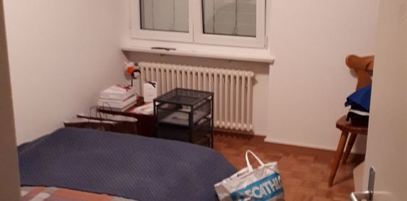 Optimale Lage in Wollishofen - Photo 2