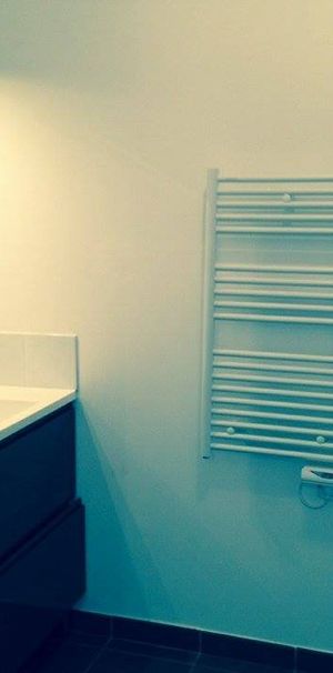 Location Appartement 2 pièces 38m² SETE 34200 - Photo 2