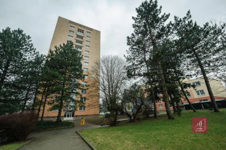 Pronájem 1+kk / upravené 1+1 | Žitná, Brno Řečkovice - Photo 3