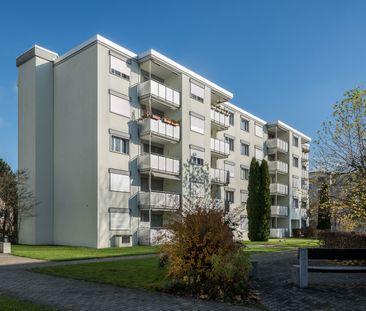 Schöne Wohnung in Bremgarten - Foto 3