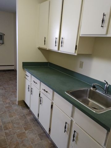 APT 12-51 ROBINSON - Photo 5