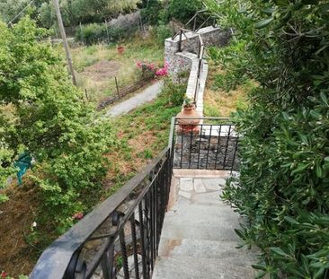 Μονοκατοικία για ενοικίαση Στρόφιλος (Αρτέμιδα) - Photo 5
