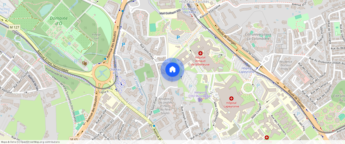 Les Hauts de Lapeyronie