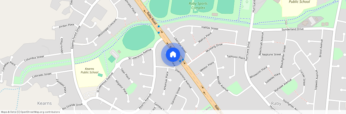 8 Sepik Place, NSW 2558, Kearns