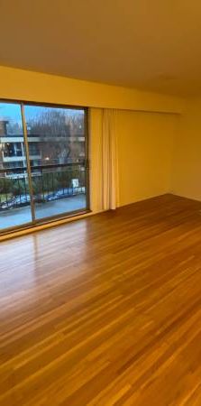 Beautiful 1 Bedroom Apartment - Photo 1