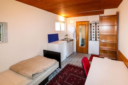 Charming living near the lake - Photo 3