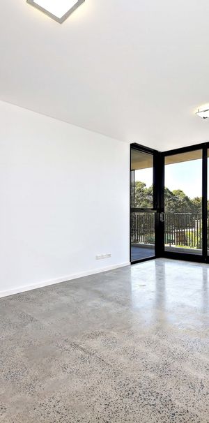 201/27 Barwon Park Road, St Peters NSW 2044 - Apartment For Rent | Domain - Photo 1