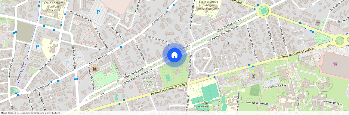 ALLEES DE MORLAAS, 64000, Pau