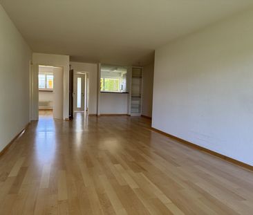2.5 Zimmer, 68 m², EG - Foto 3