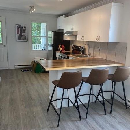 2 1/2 LOFT COMPLÈTEMENT RÉNOVÉ (HYDRO INCLUS) Disp. 1 juillet 26 - Photo 4