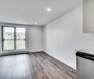 Studio - Gatineau - $1,195 /mo - Photo 1