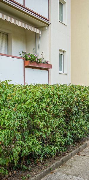 3-Zimmer Mietwohnung - Leuben - Photo 1