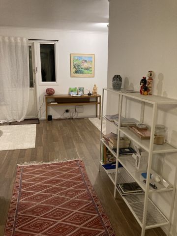 Svinninge - Photo 3
