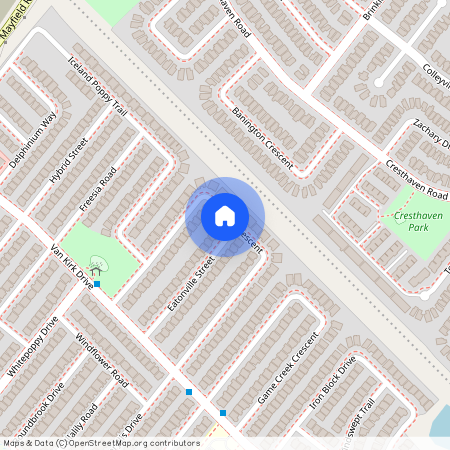 41 Begonia Crescent, Brampton