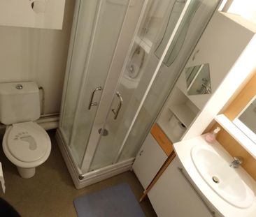 Location Appartement 1 pièce Meublé 25m² DIJON 21000 - Photo 5