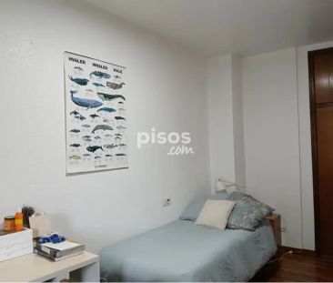 Piso en alquiler en Avenida de Pío XII - Photo 3