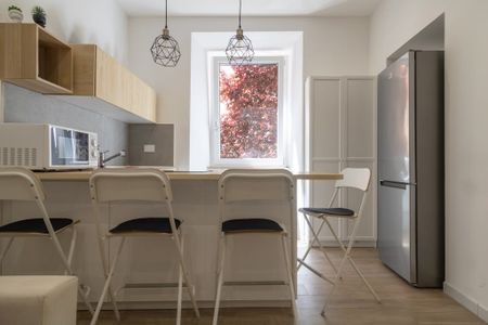 Via Plinio, Rome, Lazio 00193 - Photo 5