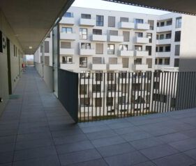 Frühlingserwachen - Foto 5