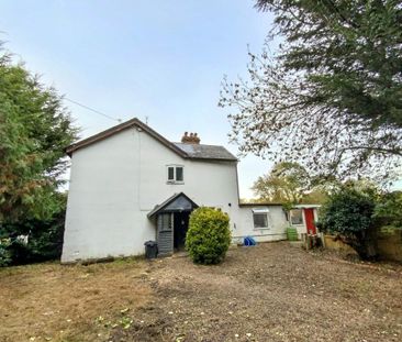 2 bedroom semi-detached house to rent - Photo 6