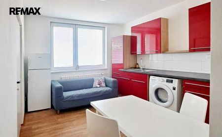 Pronájem prostorného bytu s výhledem; 1+1, 47 m - Fotografie 5