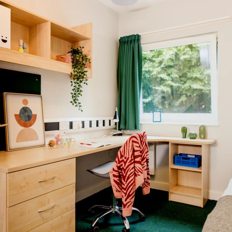Standard En-Suite - Photo 1