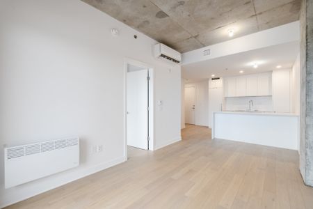 Rue du Havre, H2K 0E5, Montréal - Photo 3