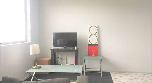 Centrally located Furnished 1 bedroom apartment - Photo 1