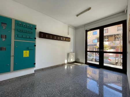 Închiriere | 3 camere | 175 mp | 4 locuri parcare - Fotografie 2