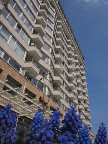 Te huur: Koningin Wilhelminaplein 456 - Foto 5