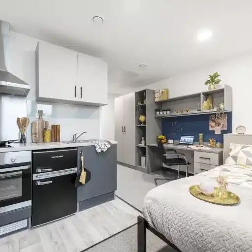 Silver Studio Plus - Photo 1