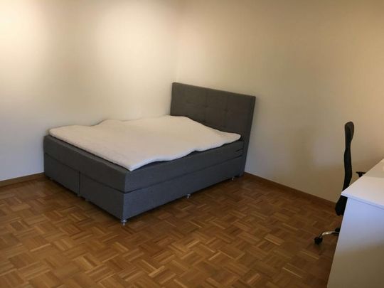 Simon #3 - Experience 60's Charm in Zürich's Green Oasis - Foto 1