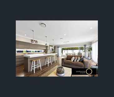 Spacious Family Home with Pool in Mango Hill - Photo 2