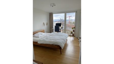 4½ Zimmer-Wohnung in Zürich - Kreis 6 Unterstrass, möbliert, auf Zeit - Photo 3