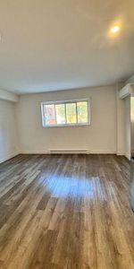 1 CH - 1 SDB - Montreal - $1,199 /mo - Photo 4